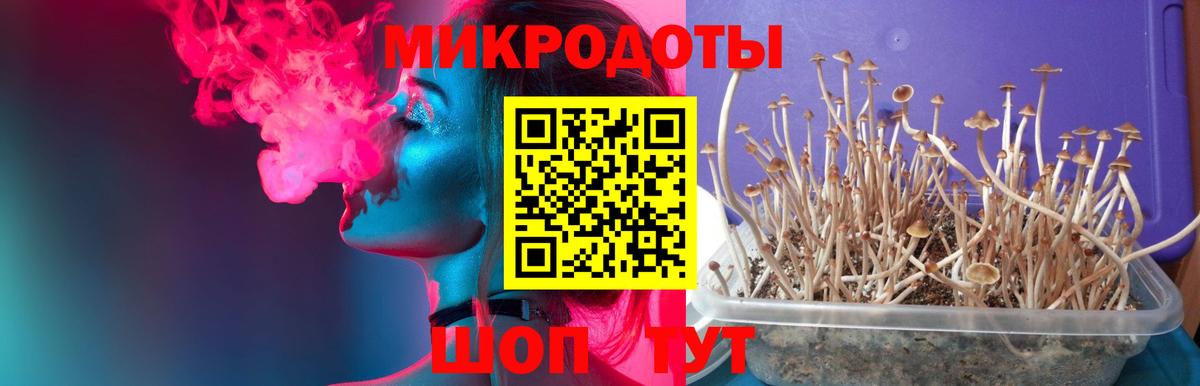 Самара  Псилоцибиновые грибы GOLDEN TEACHER  цены   Вход с VPN  Псилоцибиновые грибы прущие грибы 